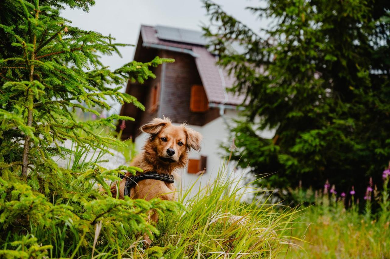 Jambrichova Alpesi faház Vysoké Tatry